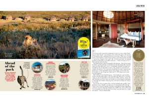 Escapes November local focus 2