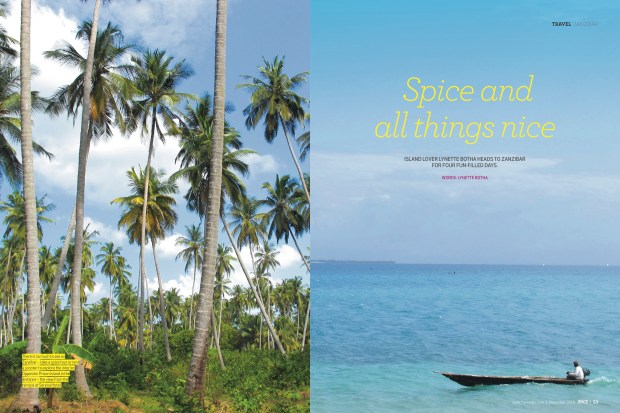 spice-and-all-things-nice